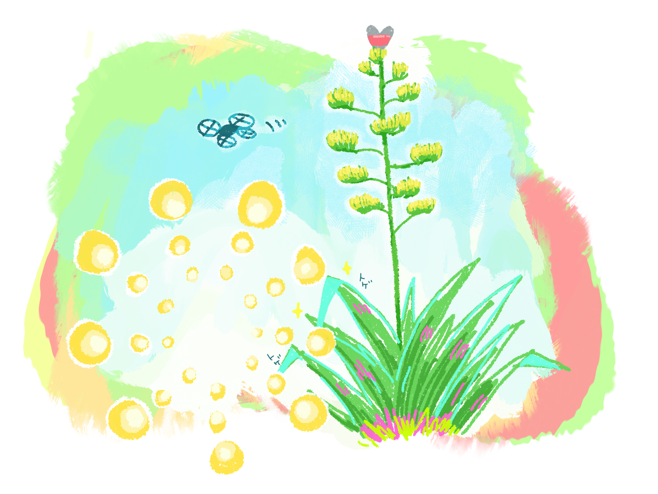 (キャプション自動取得対象外)